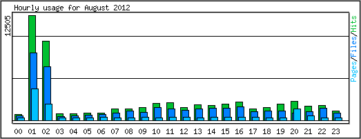 Hourly usage
