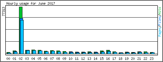 Hourly usage