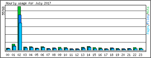 Hourly usage