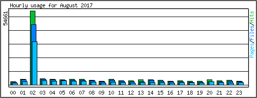 Hourly usage